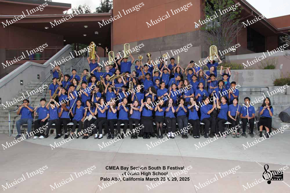 Musical Images
